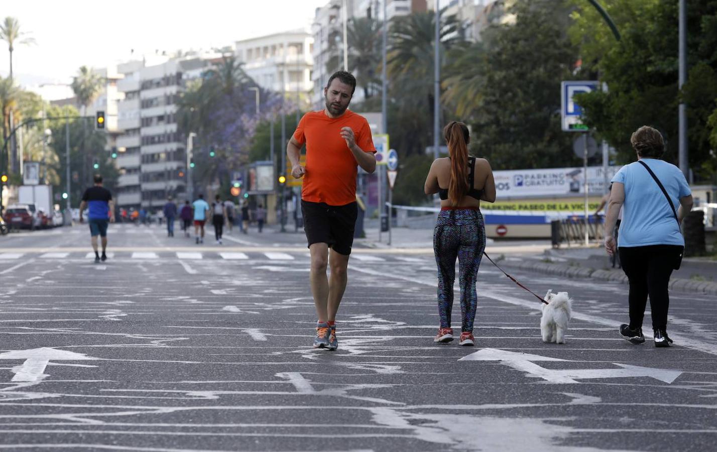 La peatonalización del Paseo de la Victoria de Córdoba, en imágenes