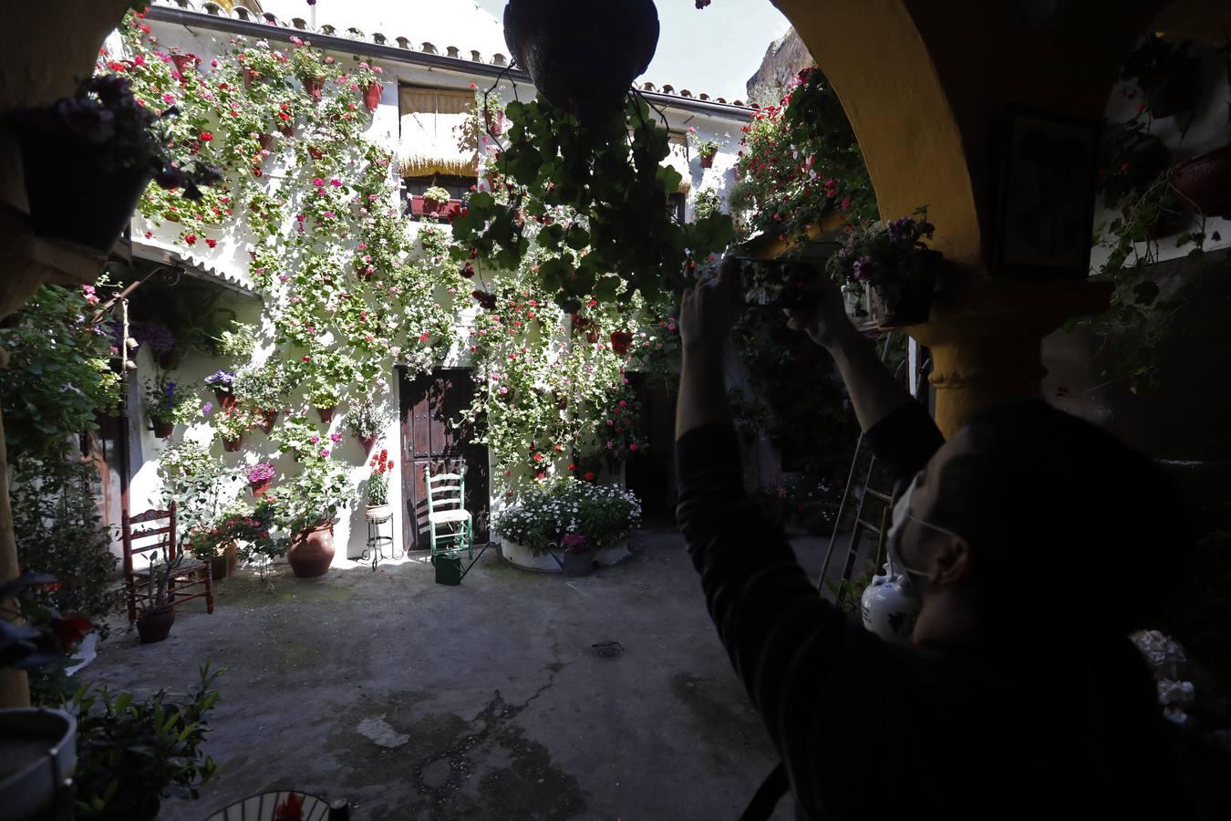 Los patios de San Basilio de Córdoba en el confinamiento, en imágenes