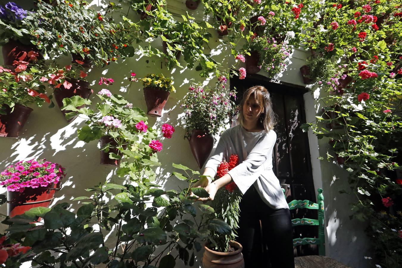 Los patios de San Basilio de Córdoba en el confinamiento, en imágenes