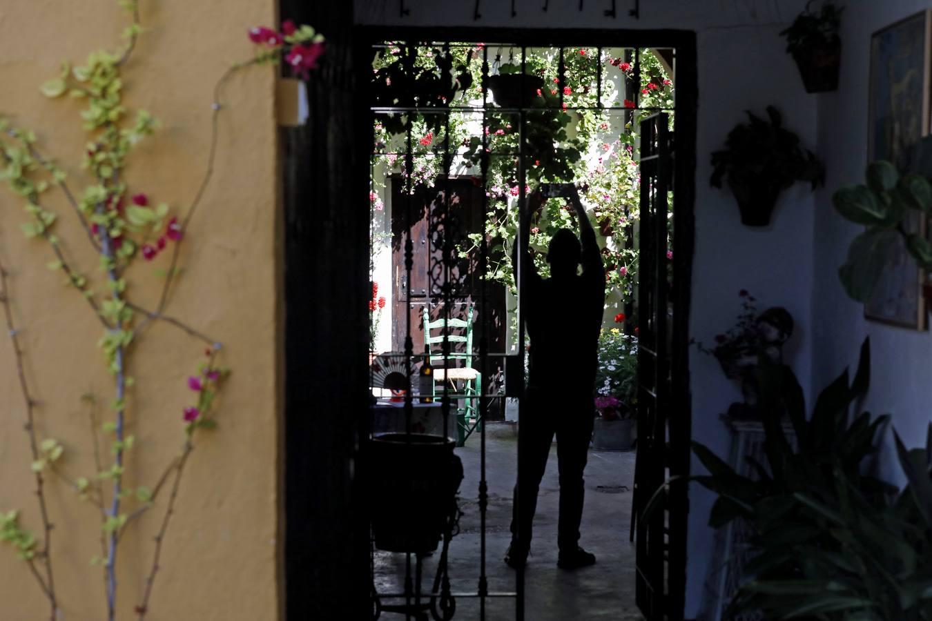 Los patios de San Basilio de Córdoba en el confinamiento, en imágenes