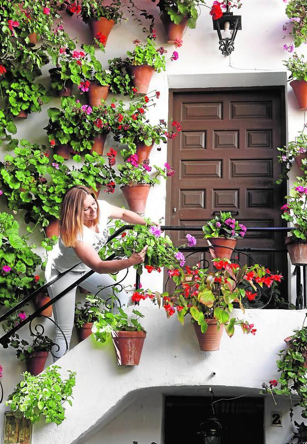 Los patios de San Basilio de Córdoba en el confinamiento, en imágenes