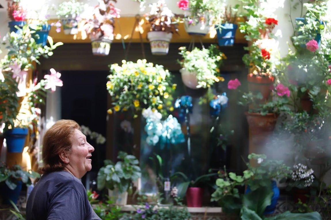 Los patios de Tafures, Ocaña y el Pozanco de Córdoba, en imágenes