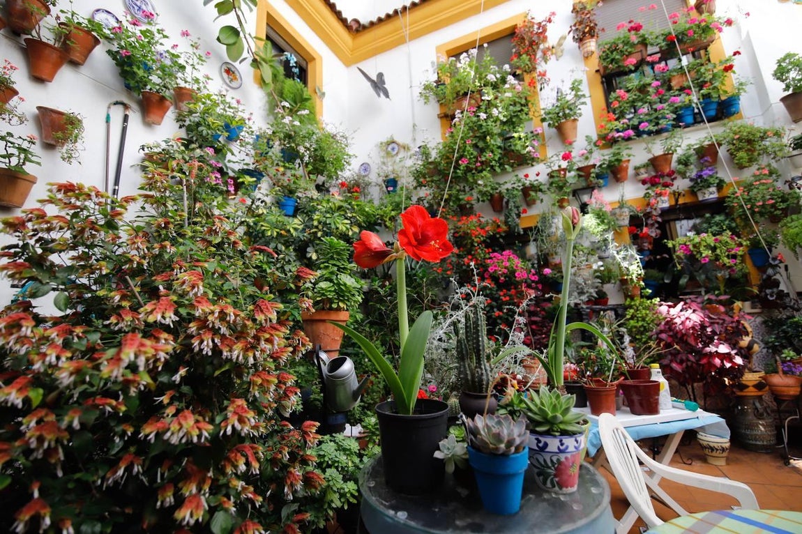 Los patios de Tafures, Ocaña y el Pozanco de Córdoba, en imágenes