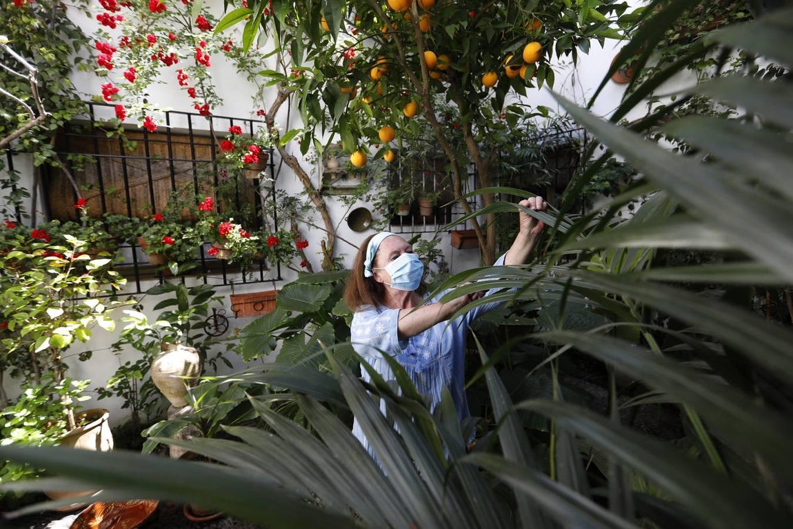 Los patios de Tafures, Ocaña y el Pozanco de Córdoba, en imágenes