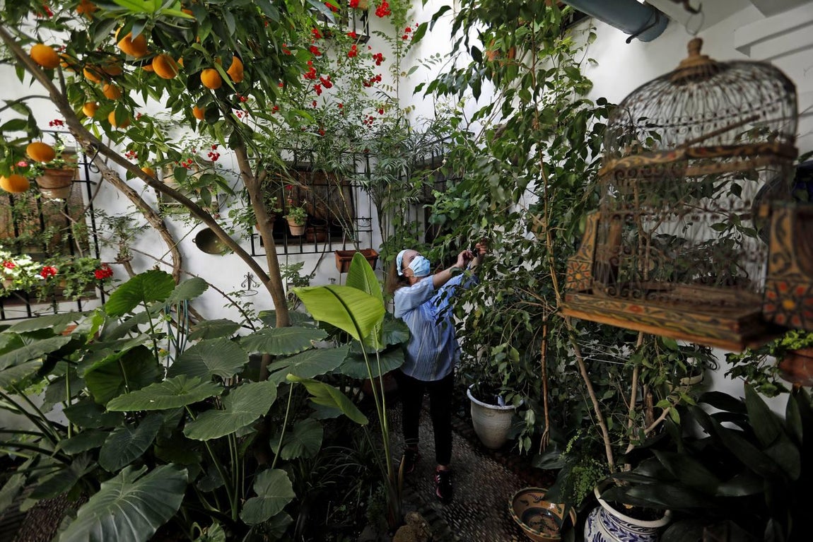 Los patios de Tafures, Ocaña y el Pozanco de Córdoba, en imágenes