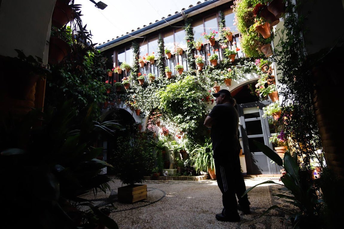 Los patios de Tafures, Ocaña y el Pozanco de Córdoba, en imágenes