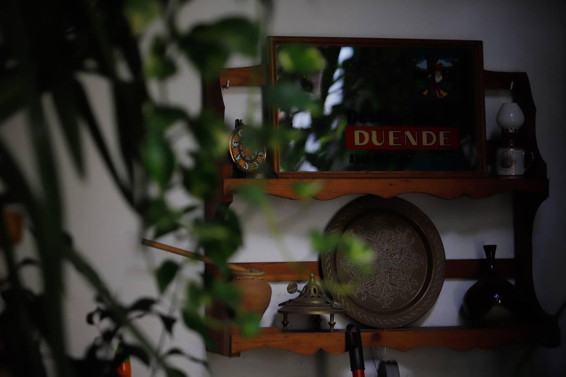 Los patios de Tafures, Ocaña y el Pozanco de Córdoba, en imágenes