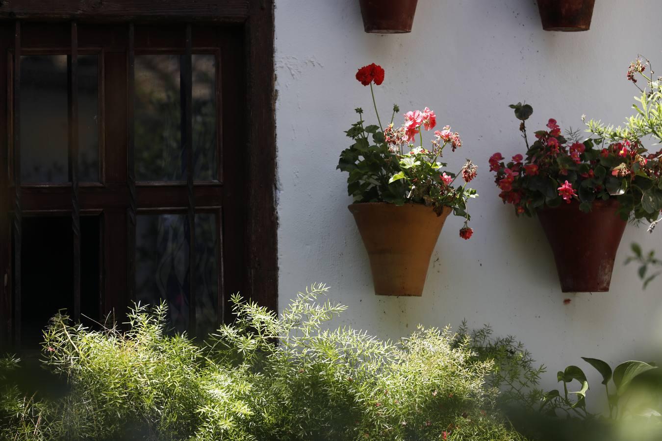 Los patios de Córdoba 2020 en la Judería y San Francisco, en imágenes