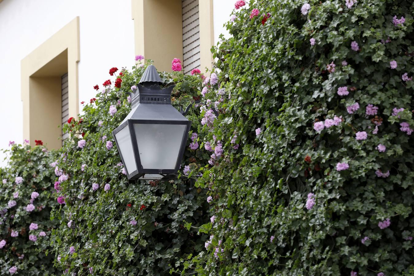 Las rejas y los balcones de Córdoba en 2020, en imágenes