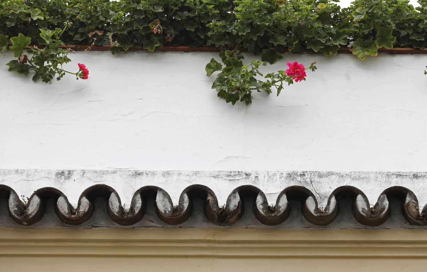 Las rejas y los balcones de Córdoba en 2020, en imágenes