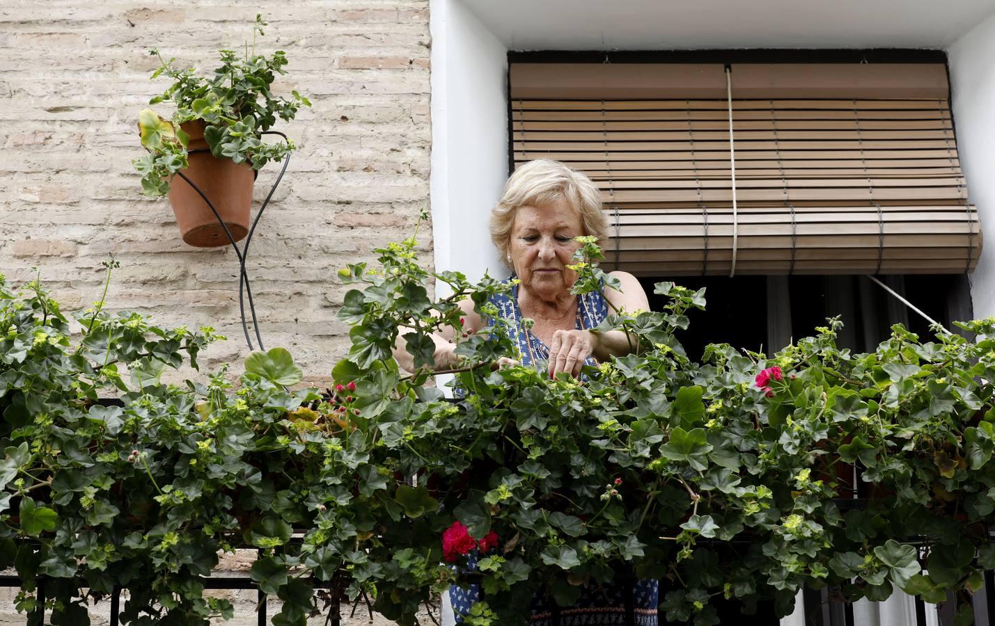 Las rejas y los balcones de Córdoba en 2020, en imágenes