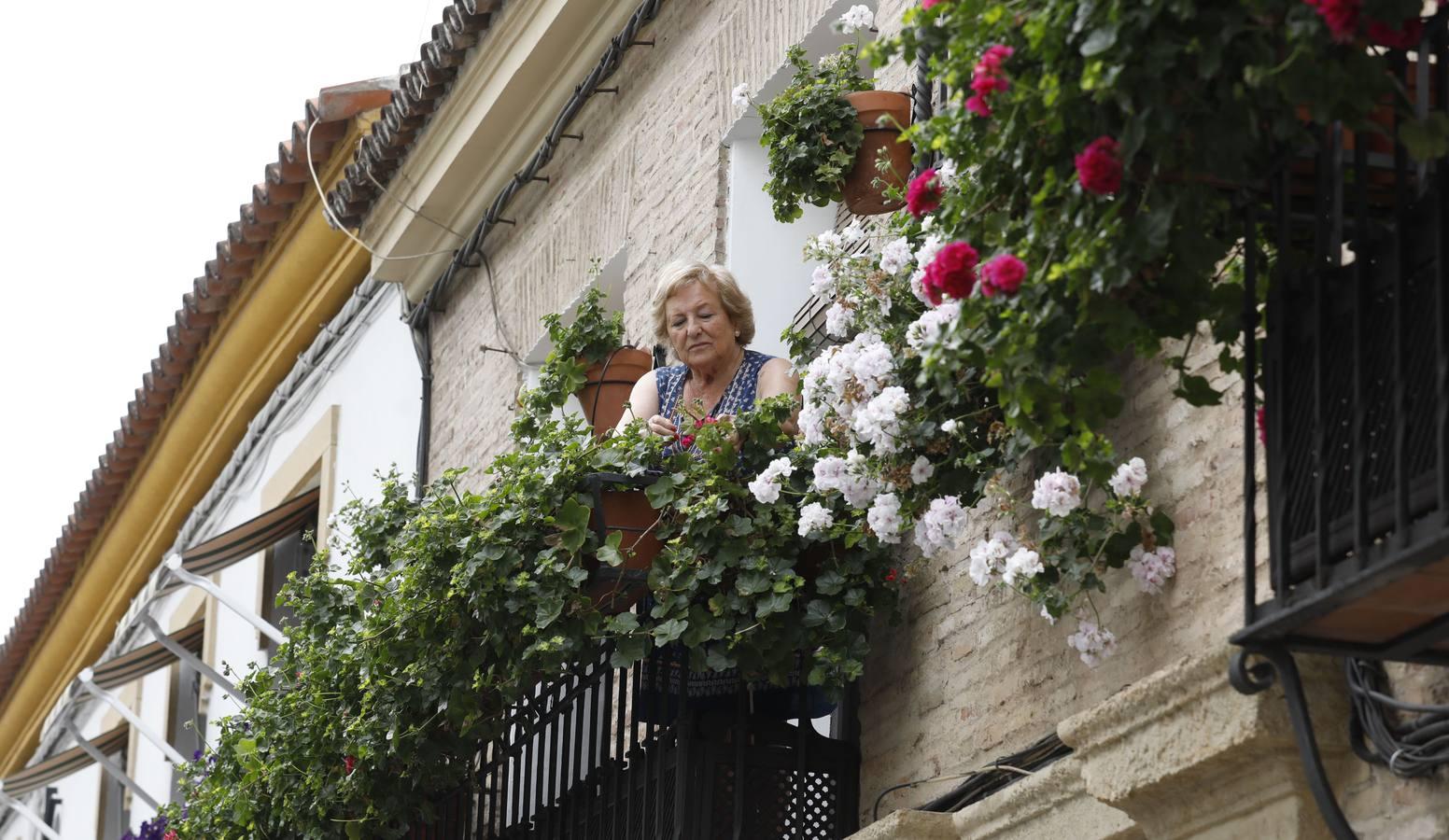 Las rejas y los balcones de Córdoba en 2020, en imágenes