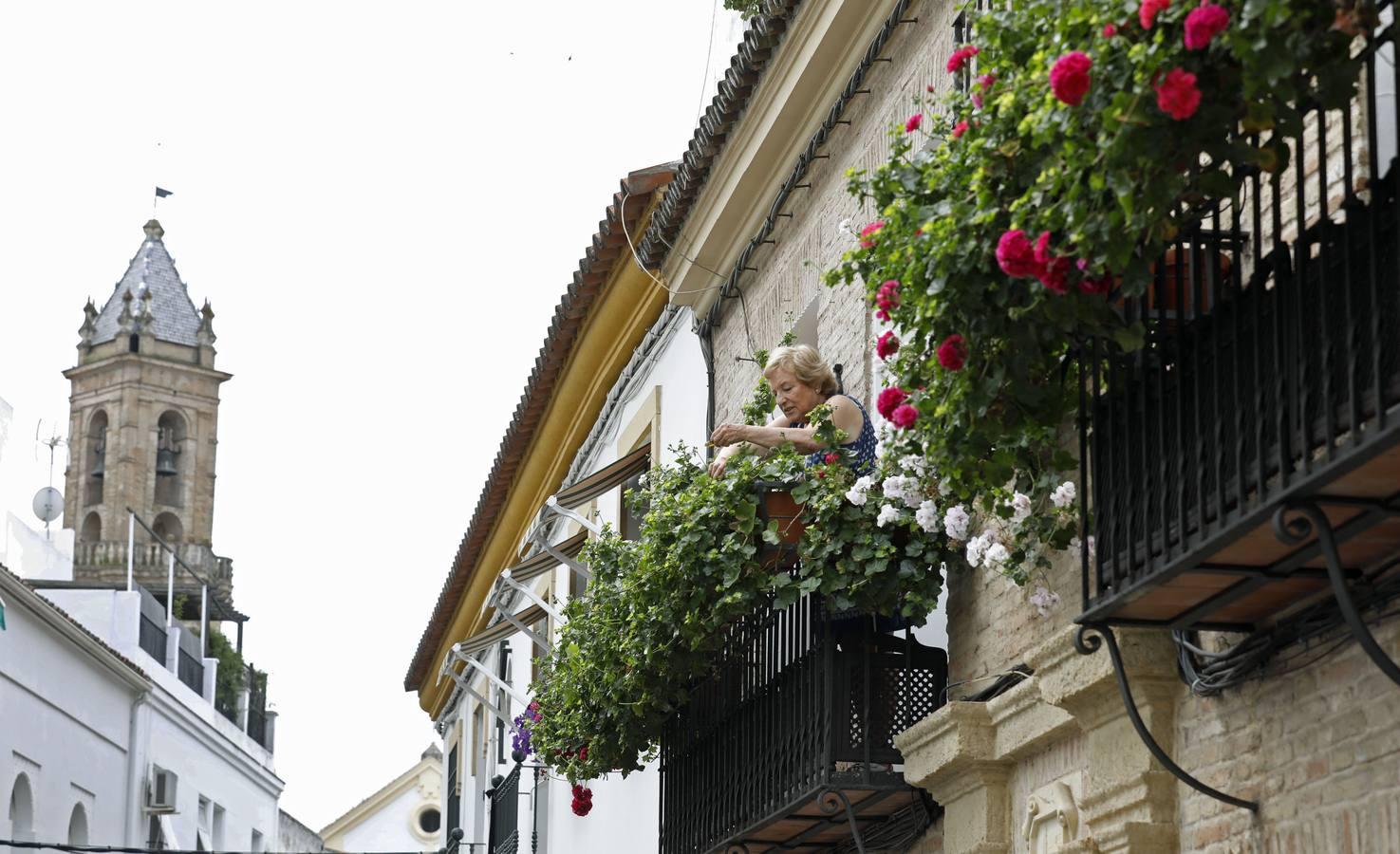 Las rejas y los balcones de Córdoba en 2020, en imágenes