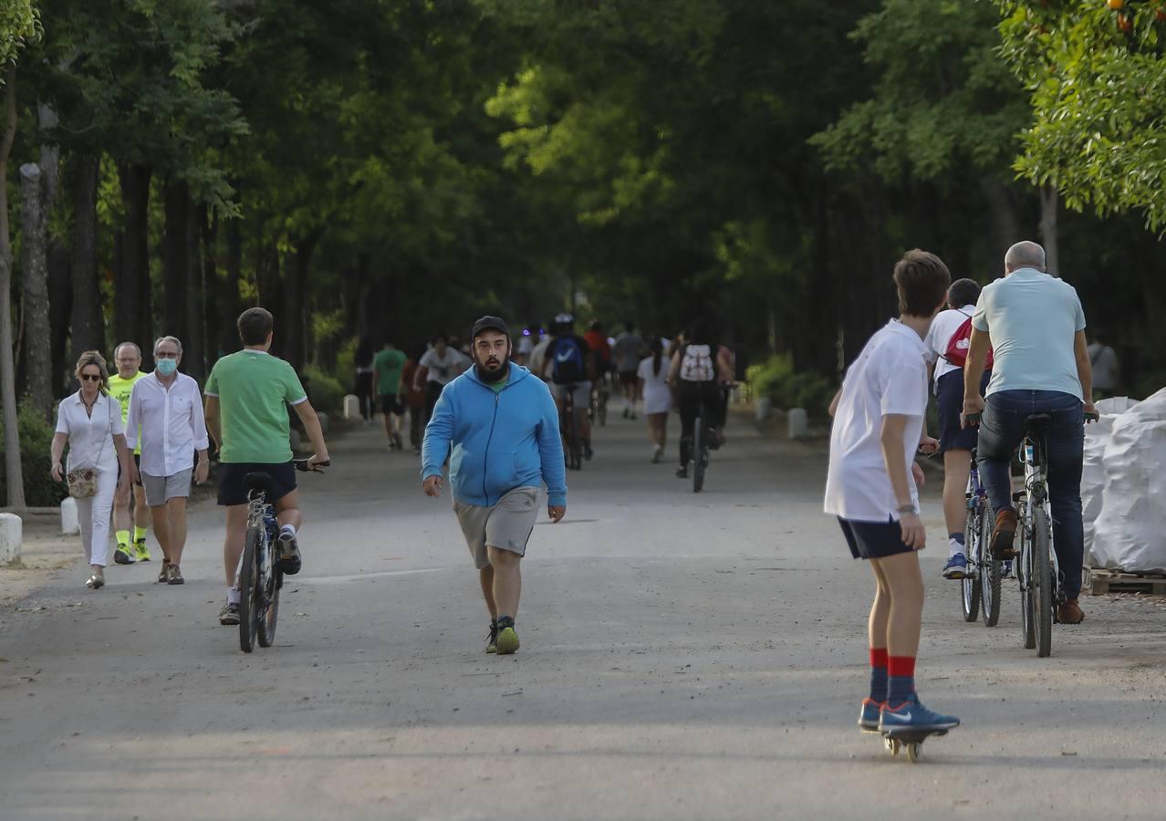 Deportistas y paseantes toman las calles de una Sevilla desescalada