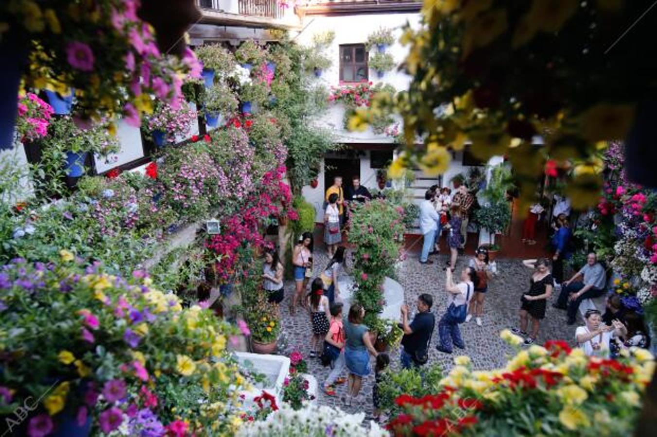 Los Patios de Córdoba, en todo su esplendor en 2019