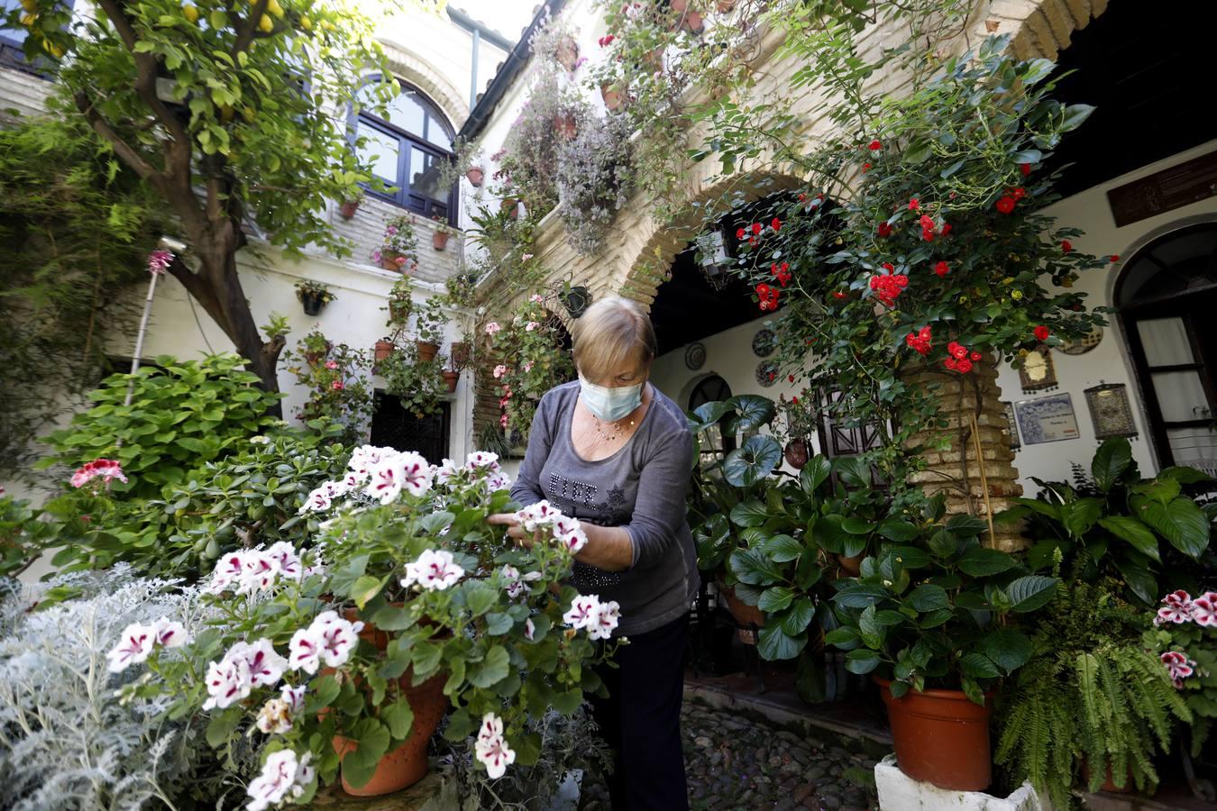 Los patios de Córdoba en Parras y Diego Méndez, en imágenes