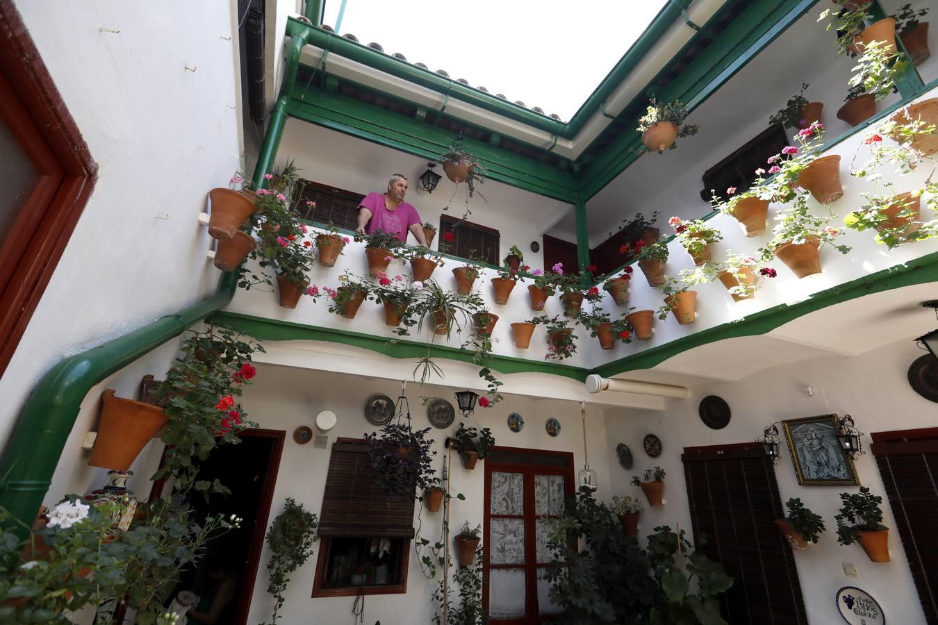 Los patios de Córdoba en Parras y Diego Méndez, en imágenes