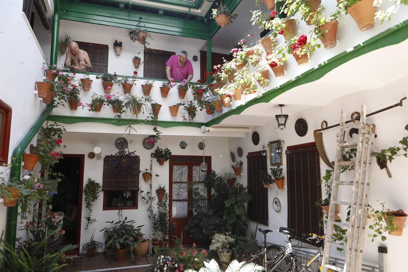 Los patios de Córdoba en Parras y Diego Méndez, en imágenes