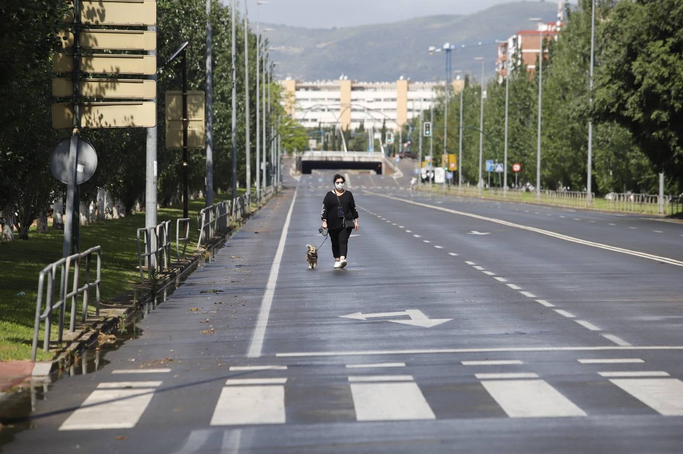 Las ocho nuevas zonas peatonales en la desescalada de Córdoba, en imágenes