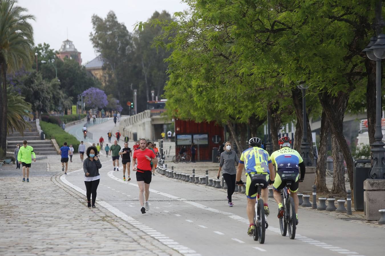 Sevilla, tomada por paseantes y deportistas