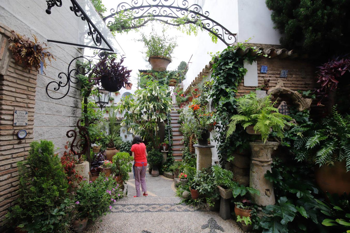 Los patios de Córdoba en Aceite y Barrionuevo, en imágenes