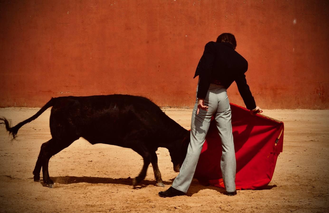 En imágenes, una jornada de campo en un tentadero en tiempos de coronavirus