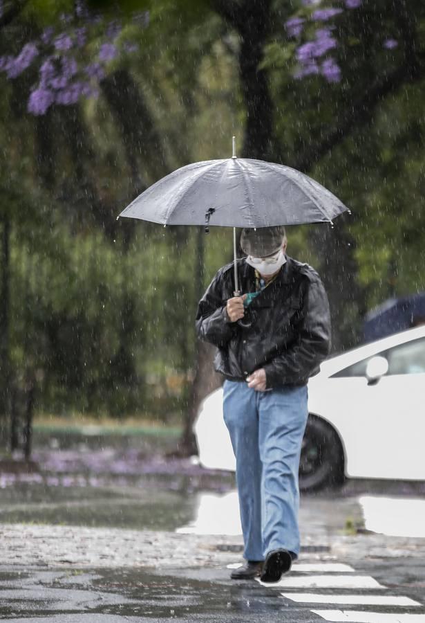 En imágenes, Sevilla bajo las fuertes lluvias y tormentas de este martes
