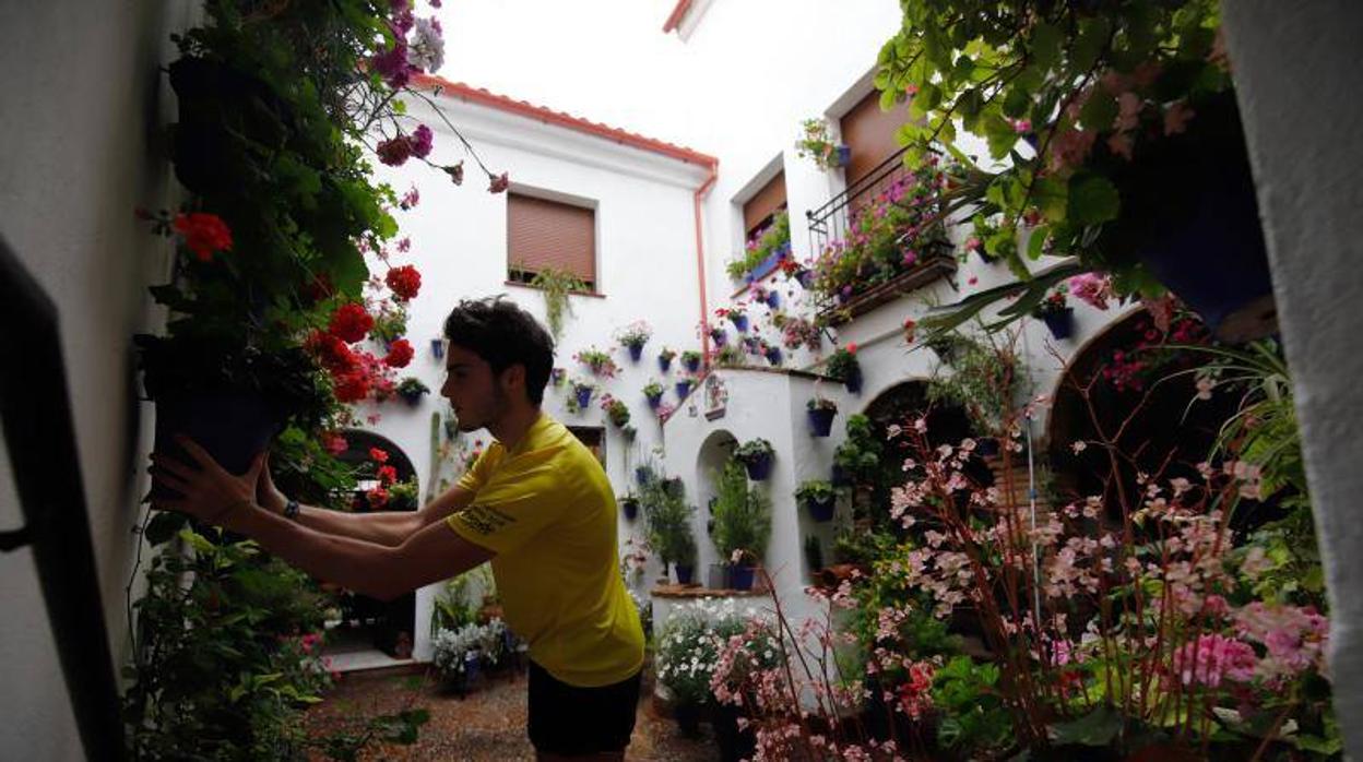 Los patios de Frailes y Alvar Rodríguez de Córdoba, en imágenes