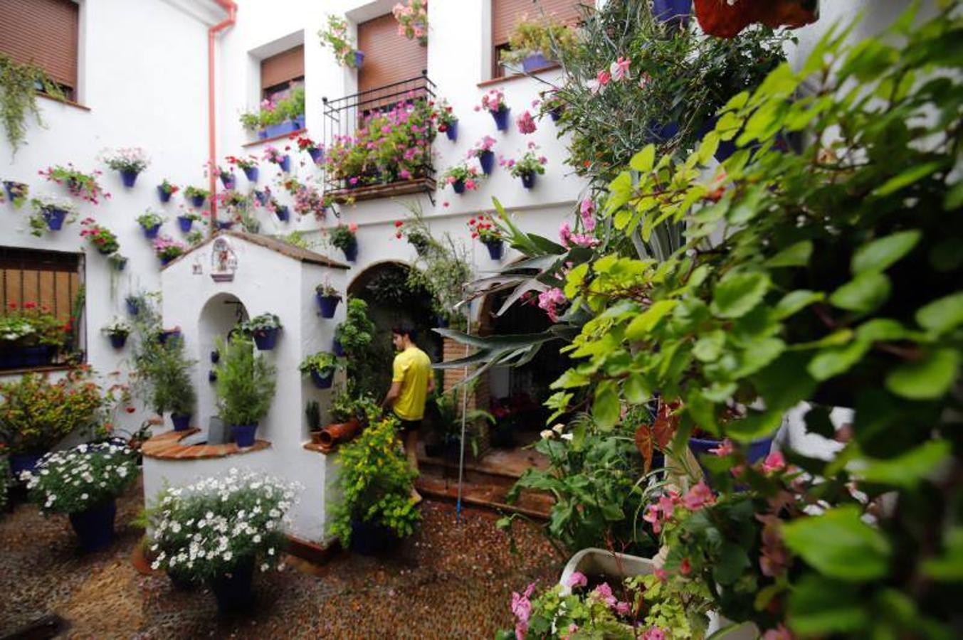 Los patios de Frailes y Alvar Rodríguez de Córdoba, en imágenes