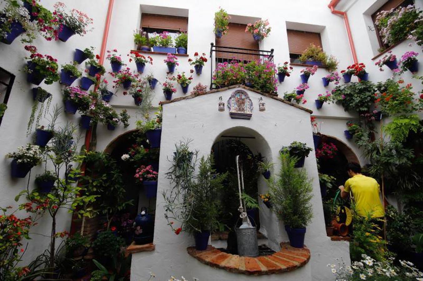 Los patios de Frailes y Alvar Rodríguez de Córdoba, en imágenes