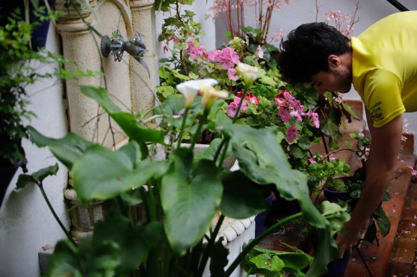 Los patios de Frailes y Alvar Rodríguez de Córdoba, en imágenes