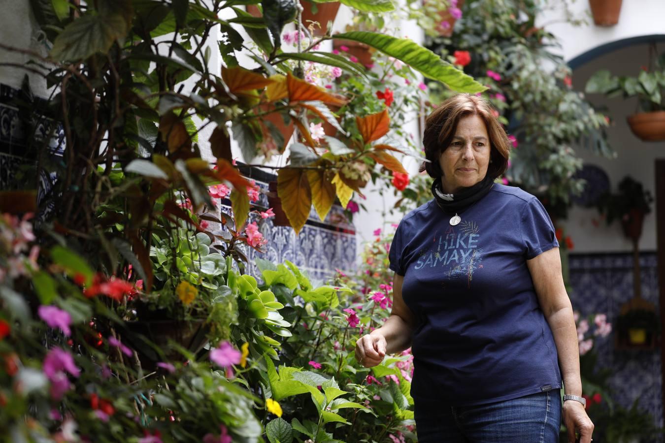 Los patios de Juan Fernández, 6 y Zarco,15 de Córdoba, en imágenes