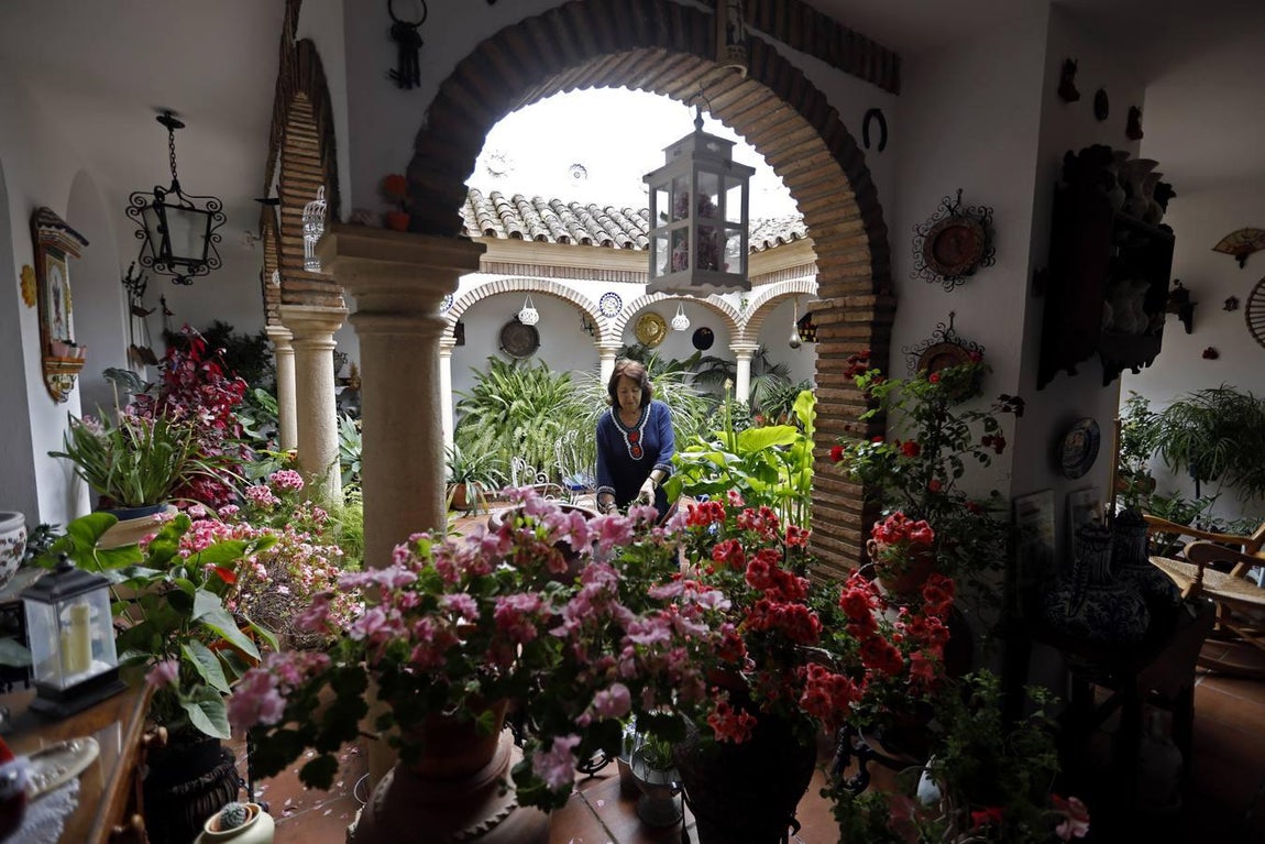 Los patios de Juan Fernández, 6 y Zarco,15 de Córdoba, en imágenes