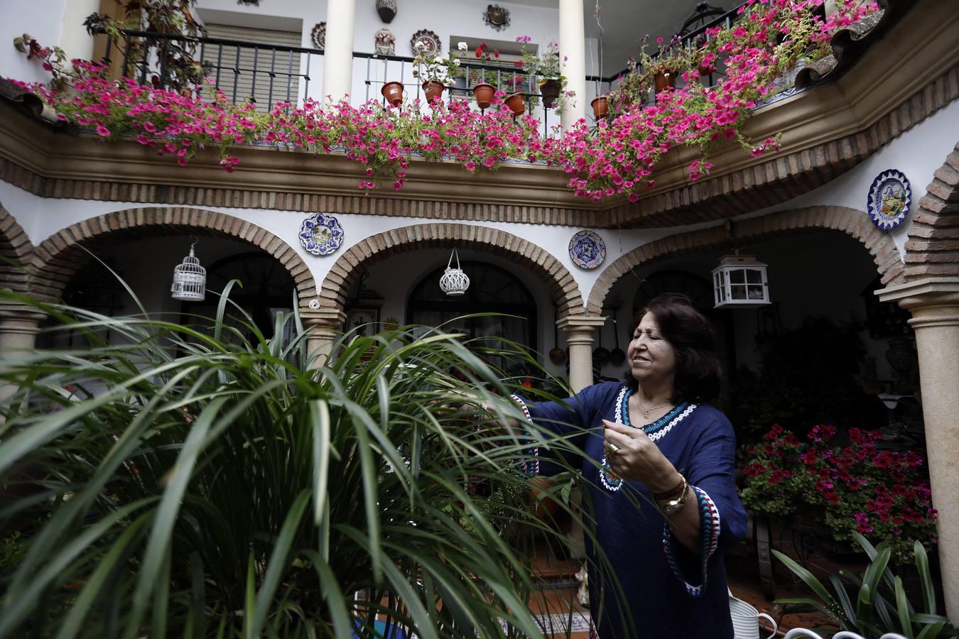 Los patios de Juan Fernández, 6 y Zarco,15 de Córdoba, en imágenes