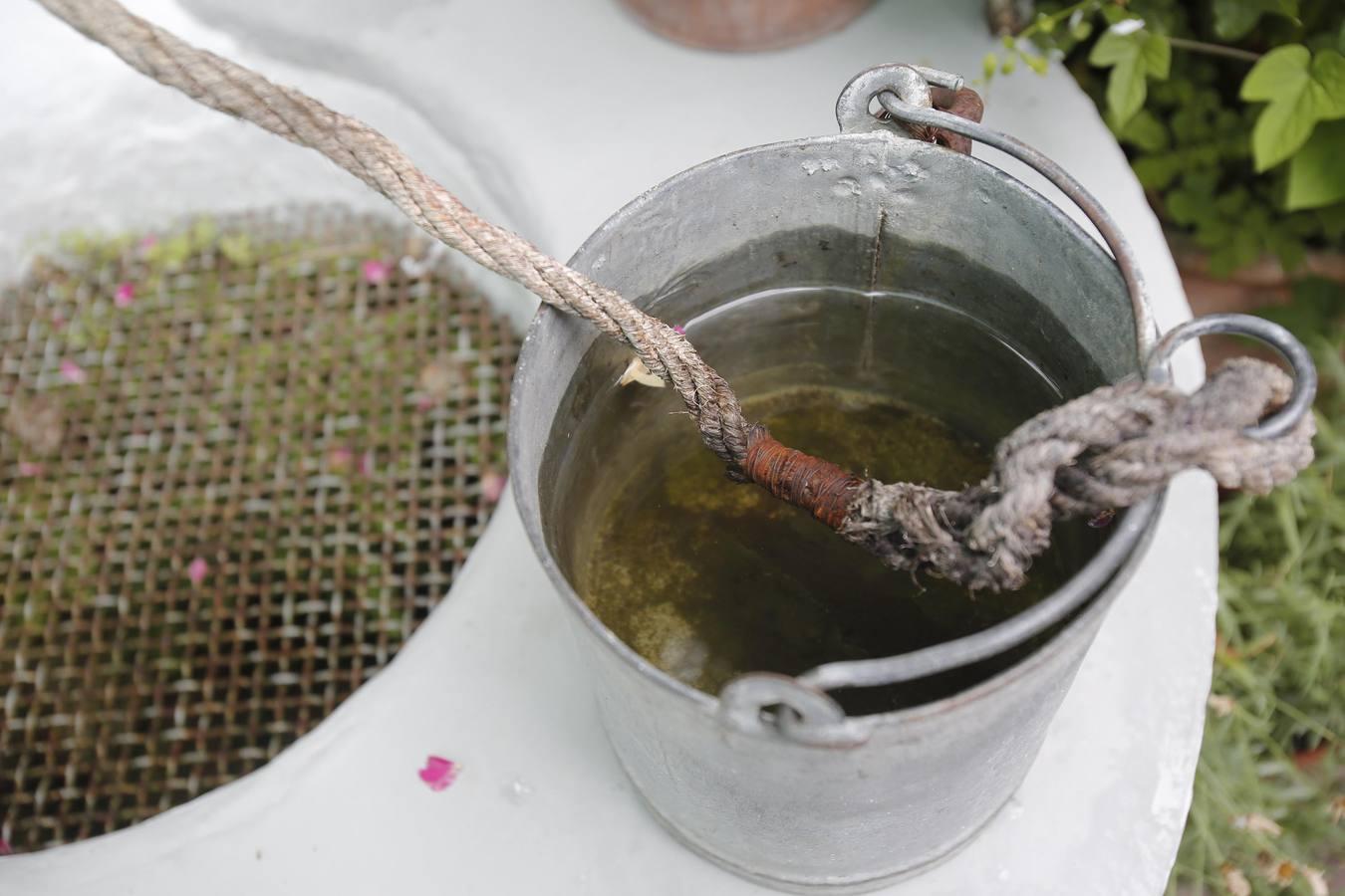 La esencia de los patios de Duartas y San Basilio, 44 en imágenes