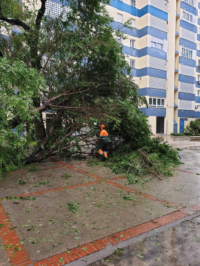 FOTOS: Temporal en Cádiz