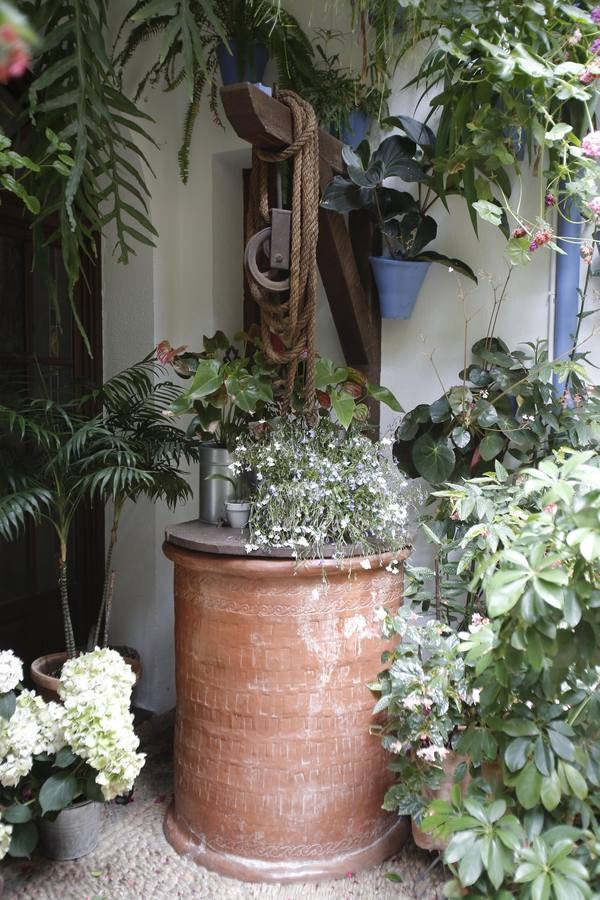 Los últimos sorbos de los Patios de Córdoba en San Basilio, en imágenes