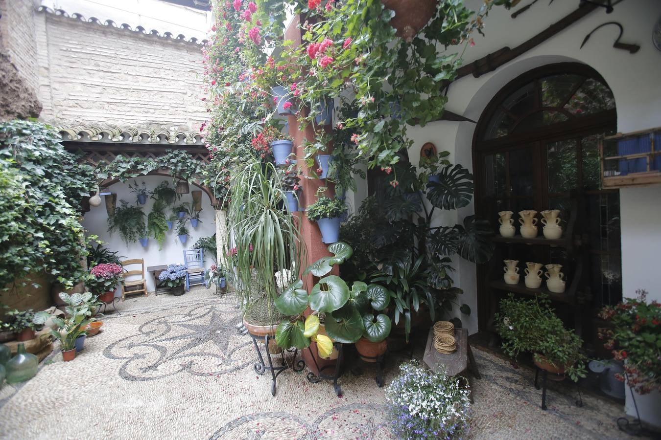 Los últimos sorbos de los Patios de Córdoba en San Basilio, en imágenes