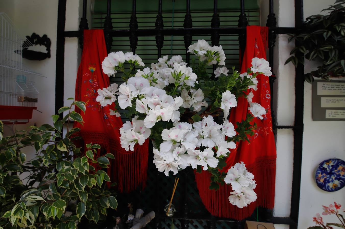 El patio de la calle Céspedes, 10, en imágenes