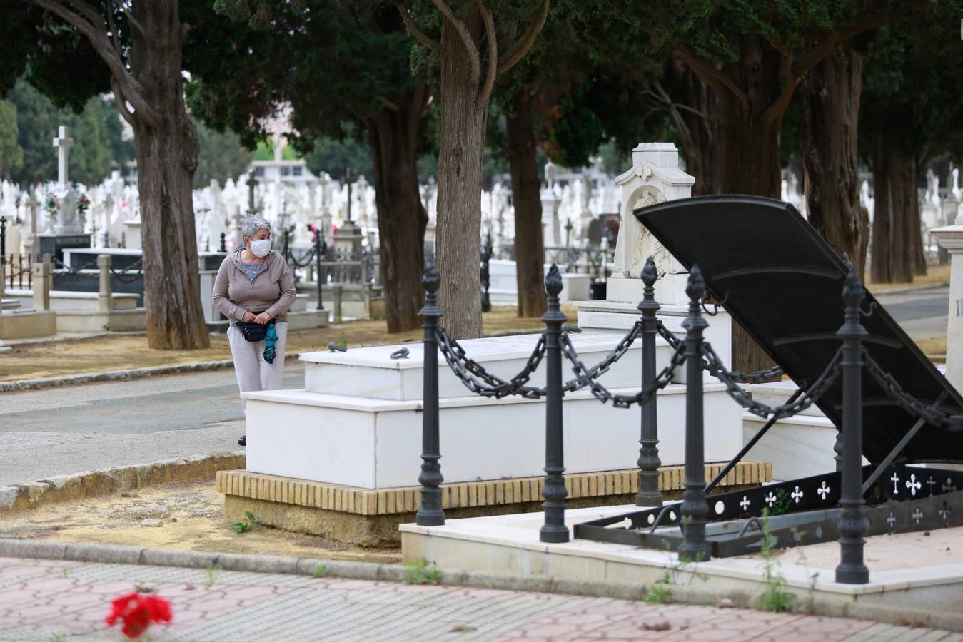 En imágenes, asistencia al cementerio de Sevilla aprovechando la nueva fase