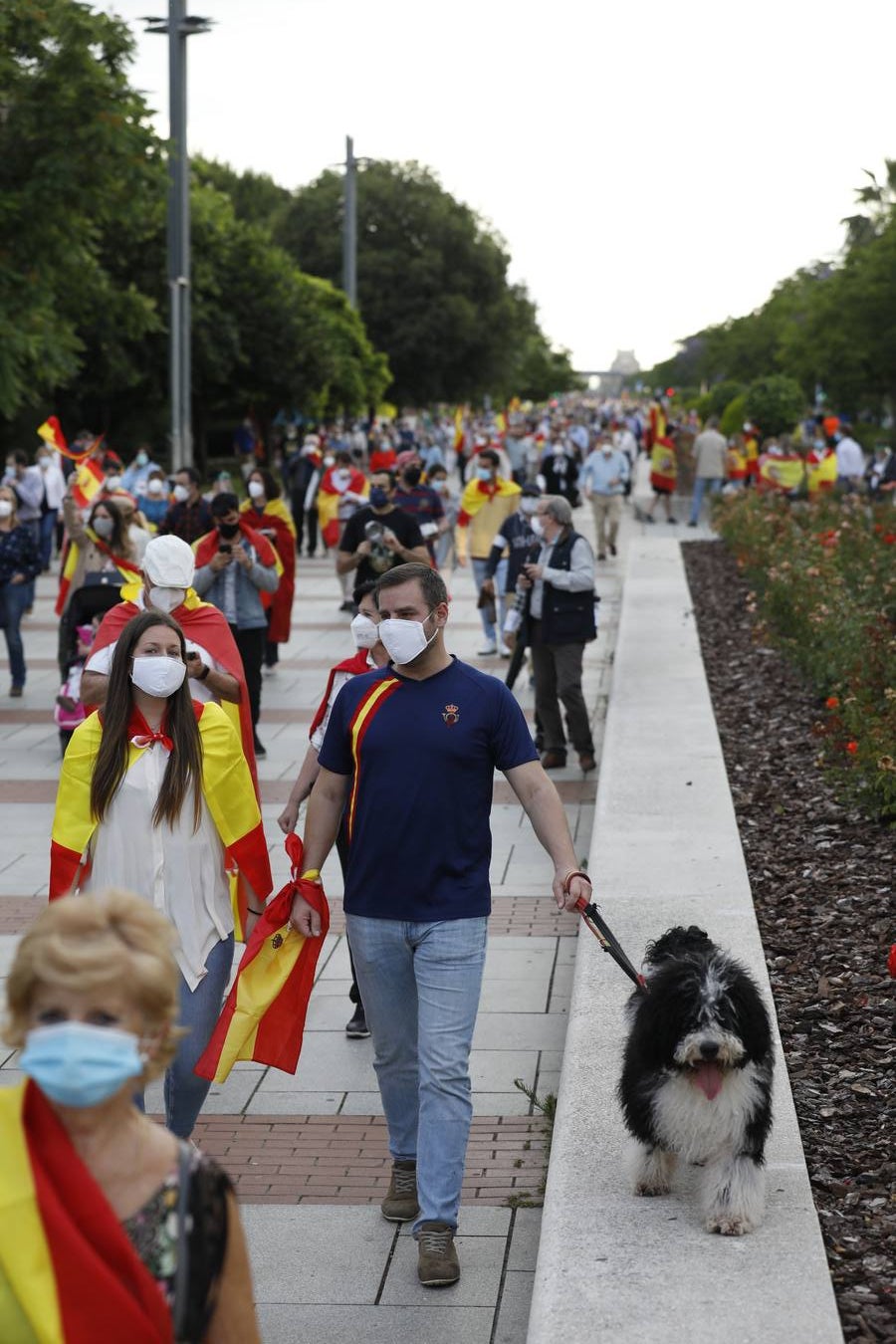 En imágenes, centenares de cordobeses protestan contra Sánchez en el Vial