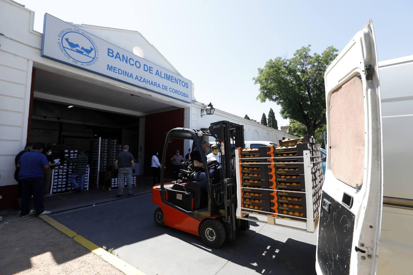 La donación de siete toneladas al Banco de Alimentos de Córdoba, en imágenes