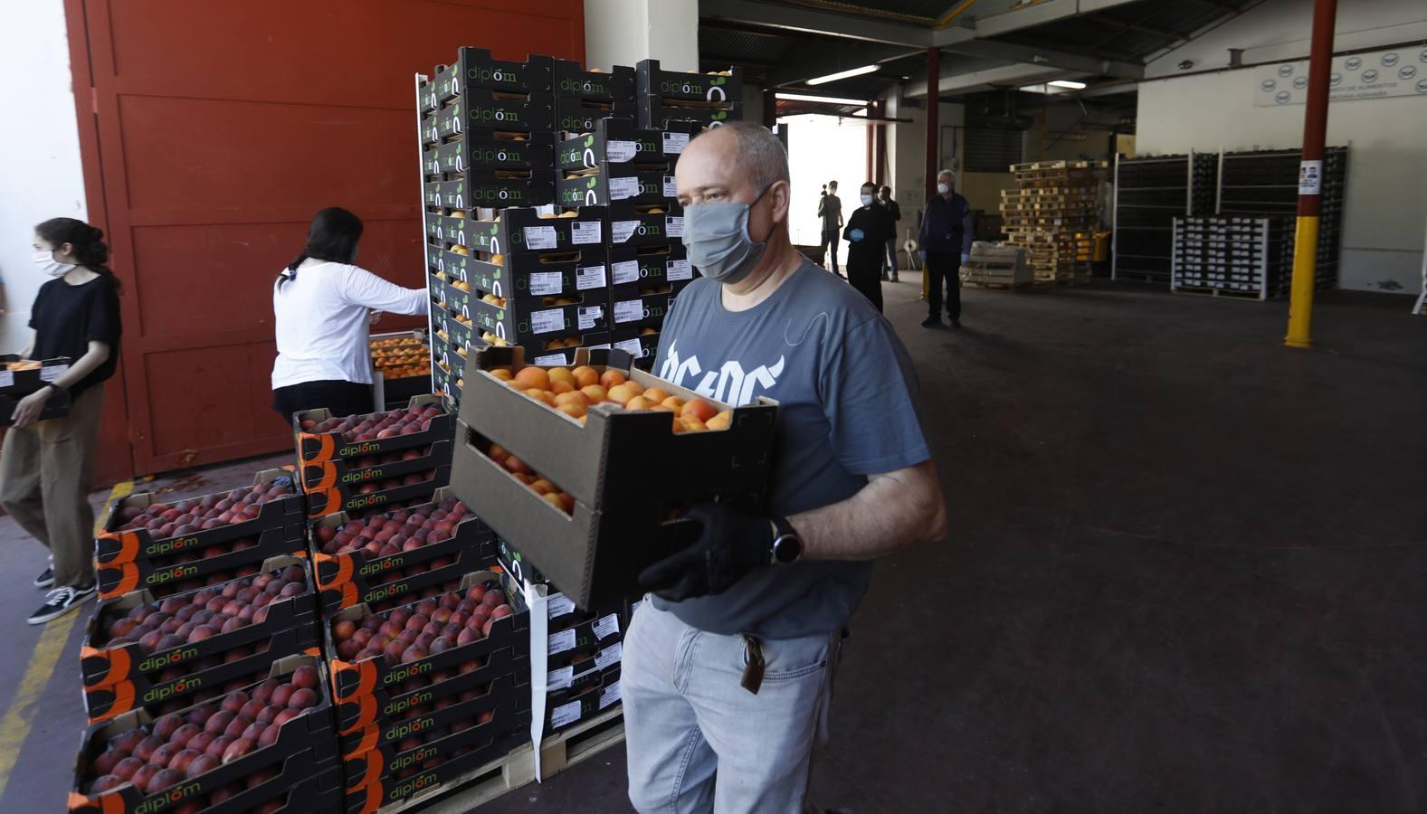 La donación de siete toneladas al Banco de Alimentos de Córdoba, en imágenes