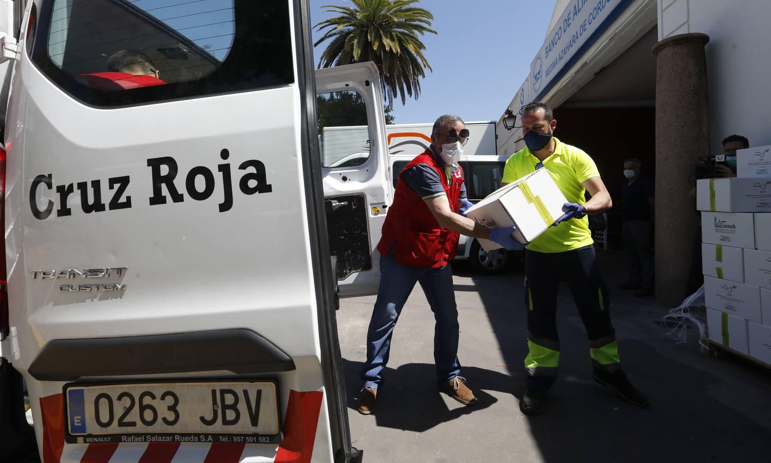 La donación de siete toneladas al Banco de Alimentos de Córdoba, en imágenes