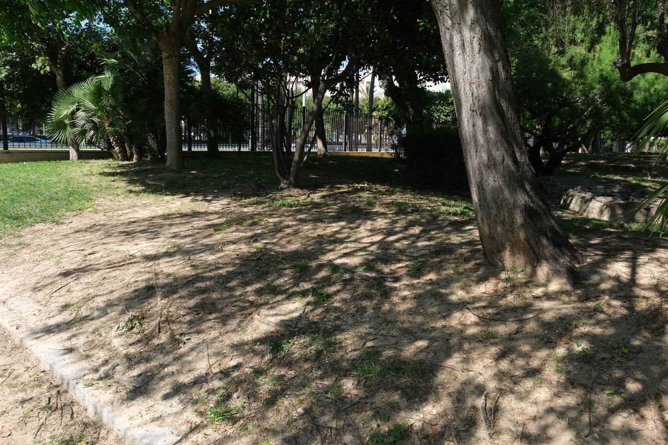 FOTOS: Falta de mantenimiento en los parques y jardines de Cádiz