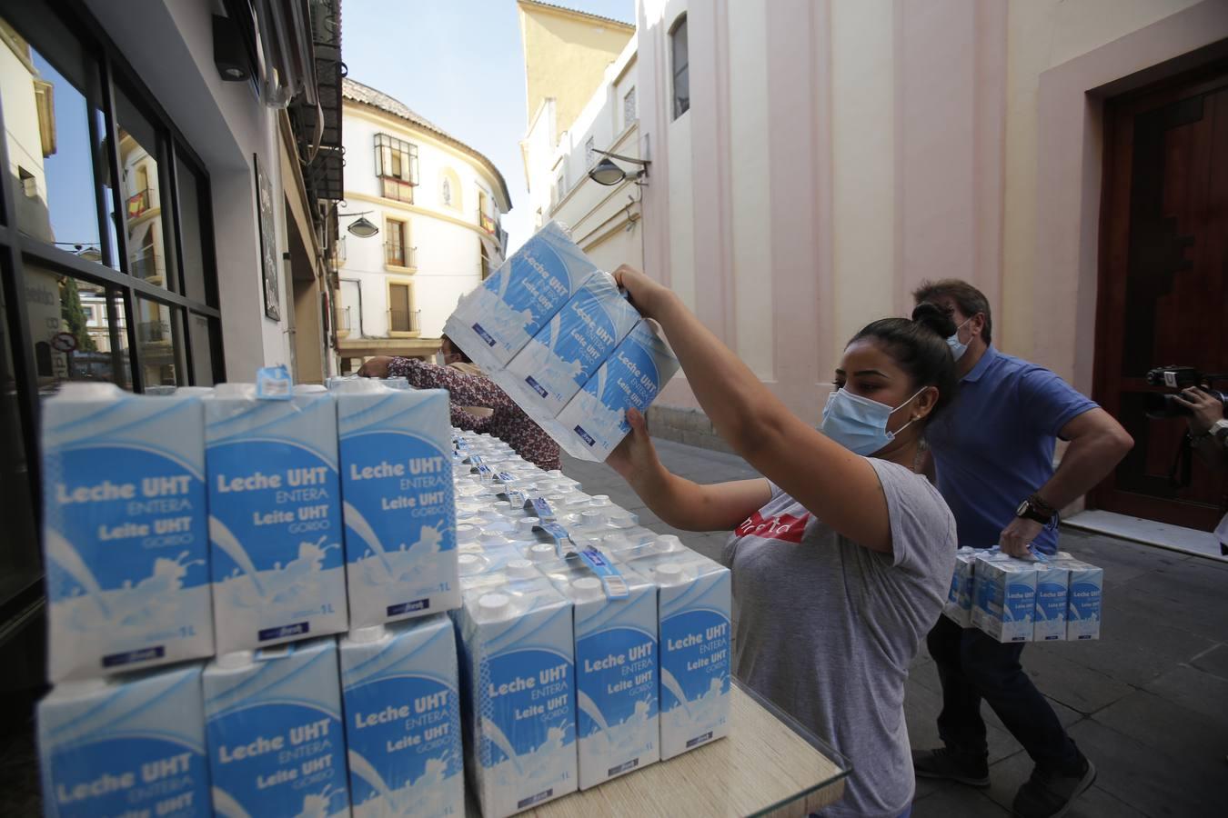 La entrega de alimentos de Centro Córdoba a Cáritas, en imágenes