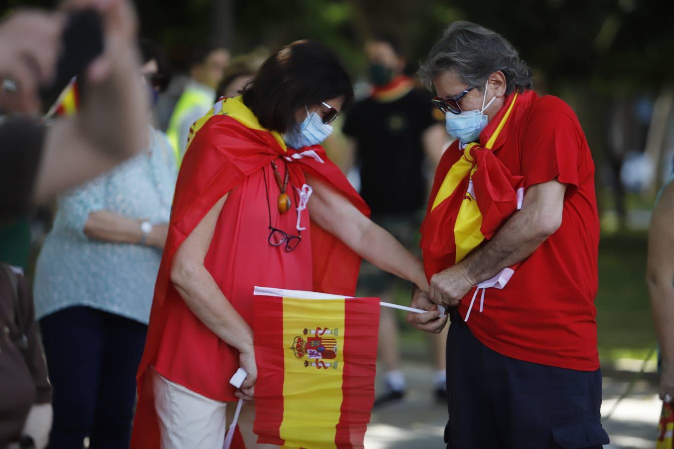 La marcha contra el Gobierno en Córdoba de Vox, en imágenes (I)