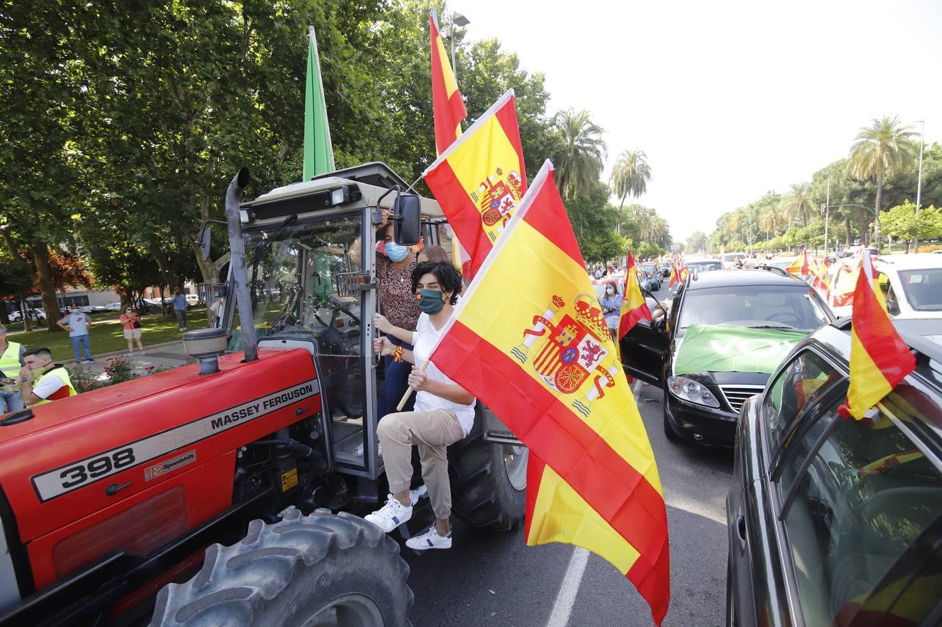 La marcha contra el Gobierno en Córdoba de Vox, en imágenes (II)