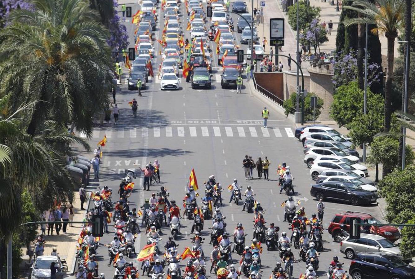 La marcha contra el Gobierno en Córdoba de Vox, en imágenes (I)