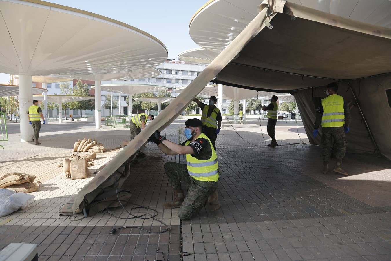 La retirada del dispositivo para los test en las Setas en Córdoba, en imágenes